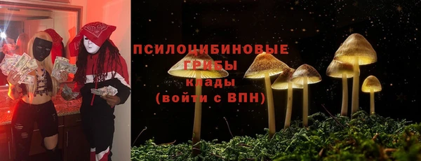 хмурый Алексин