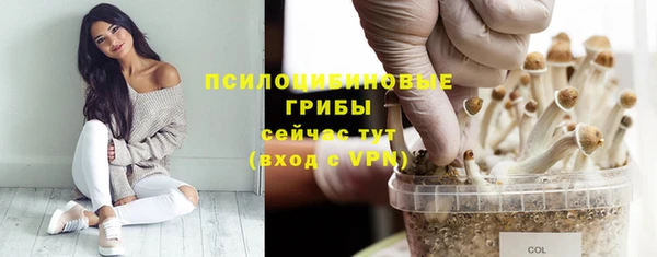 хмурый Алексин
