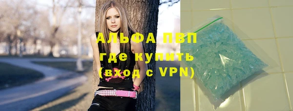 хмурый Алексин