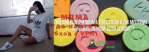 хмурый Алексин